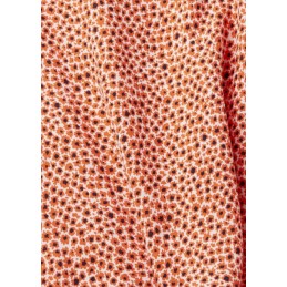 BLOUSE - ESPRIT SPORT - FEMME - FEMME - 13162